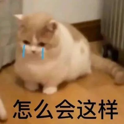 车抵押app(久久泰抵押车app)? (https://www.962900.com/) 知识问答 第1张