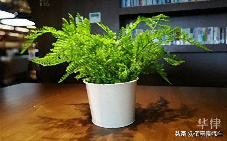 押车借钱需要啥手续(押车贷款需要什么资料)? (https://www.962900.com/) 知识问答 第1张