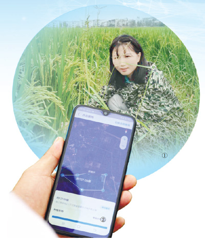 纯私人放款联系方式(私人放款联系方式电话)? (https://www.962900.com/) 知识问答 第1张