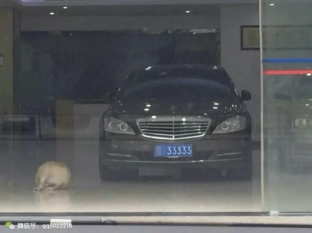 什么平台可以抵押车(抵押车平台可以注销吗)? (https://www.962900.com/) 知识问答 第1张