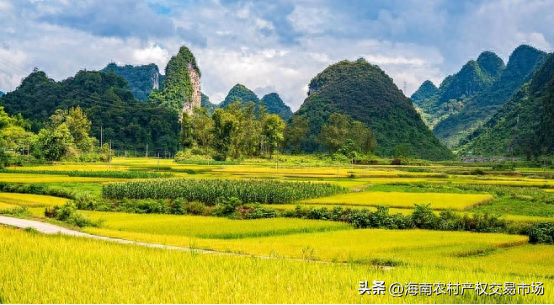 车辆抵押融资(土地违规抵押融资整改)? (https://www.962900.com/) 知识问答 第2张