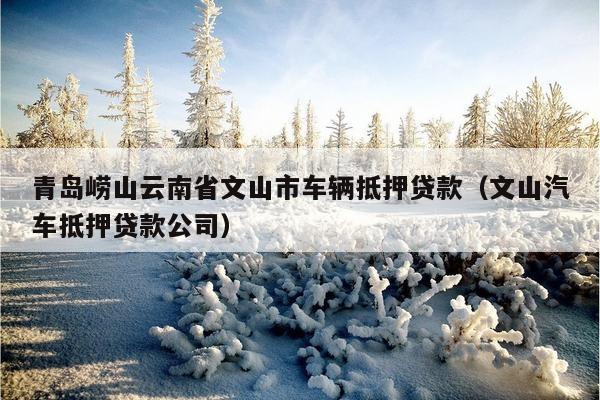 苏州金山汽车抵押融资(涉土地违规抵押融资)? (https://www.962900.com/) 知识问答 第1张