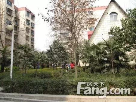 车辆抵押融资哪个平台好(土地违规抵押融资)? (https://www.962900.com/) 知识问答 第2张