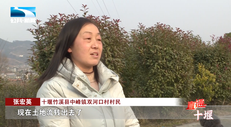 汽车抵押融资哪里好(车辆抵押融资)? (https://www.962900.com/) 知识问答 第11张