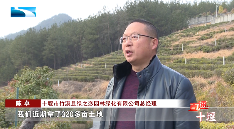 汽车抵押融资哪里好(车辆抵押融资)? (https://www.962900.com/) 知识问答 第14张