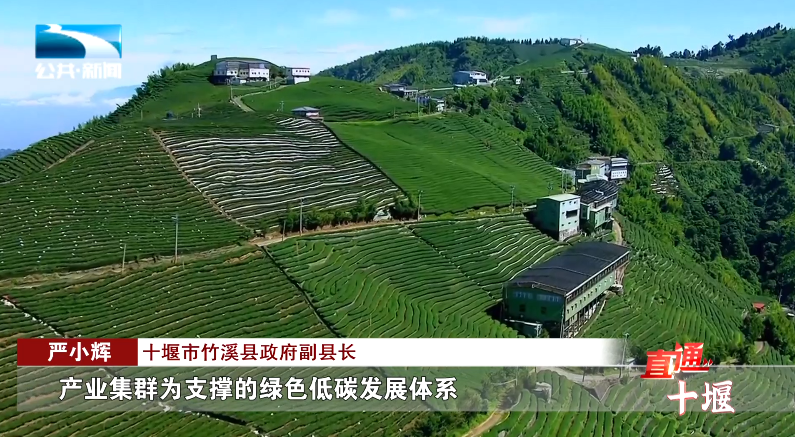 汽车抵押融资哪里好(车辆抵押融资)? (https://www.962900.com/) 知识问答 第15张