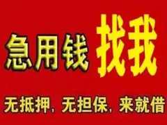 苏州汽车抵押融资正规公司(苏州汽车融资贷款公司)? (https://www.962900.com/) 知识问答 第49张