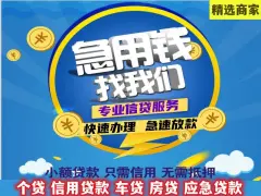 苏州汽车抵押融资正规公司(苏州汽车融资贷款公司)? (https://www.962900.com/) 知识问答 第54张