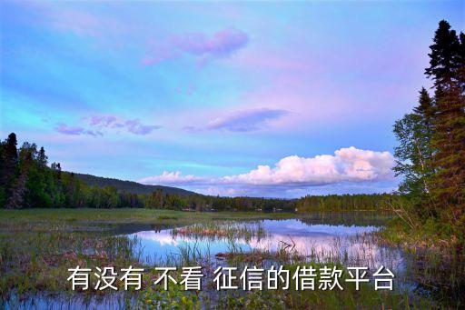 不看负债和征信的融资(融资征信)? (https://www.962900.com/) 知识问答 第1张