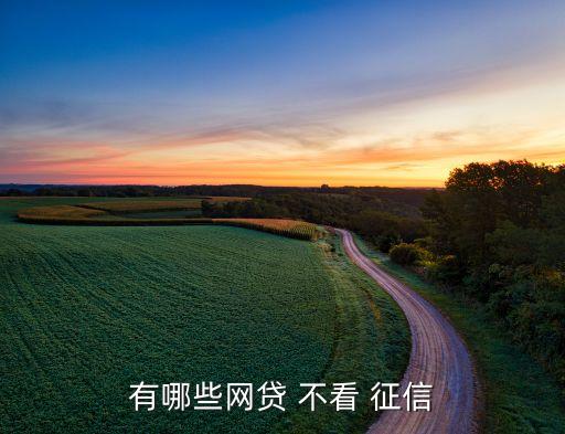 不看负债和征信的融资(融资征信)? (https://www.962900.com/) 知识问答 第2张