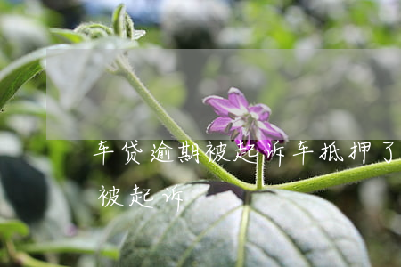 车子抵押贷款怎么贷(抵押贷款汽车)? (https://www.962900.com/) 知识问答 第2张