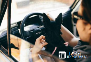 车子抵押借钱(抵押车子借钱合同)? (https://www.962900.com/) 知识问答 第5张