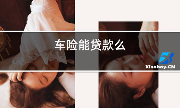 车险能贷款吗(贷款车险第二年怎么买)? (https://www.962900.com/) 知识问答 第1张