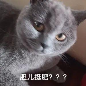 闵行区那里有车子抵押贷款的(上海汽车抵押贷)? (https://www.962900.com/) 知识问答 第1张
