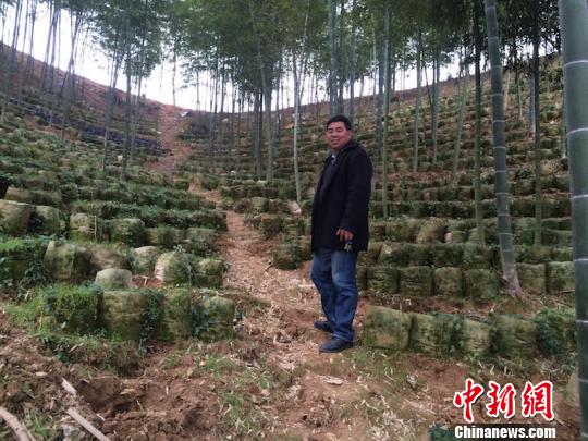 金山区抵押车贷(抵押山区贷车金怎么处理)? (https://www.962900.com/) 知识问答 第1张