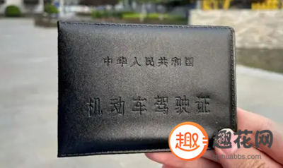 驾照贷额度8000到50000(驾证贷款能货多少钱)? (https://www.962900.com/) 知识问答 第1张