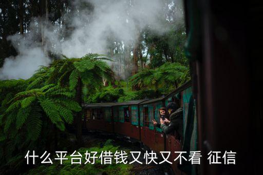 不查征信的网贷(网贷征信查多了多久能恢复)? (https://www.962900.com/) 知识问答 第1张