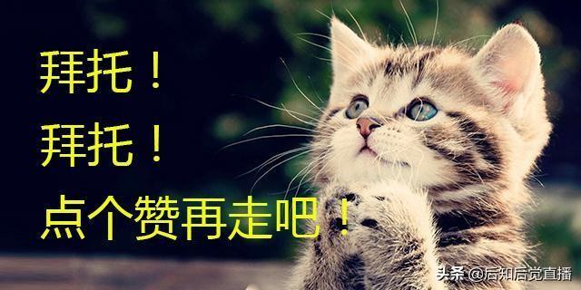 车抵押贷款不押车(车抵押贷款)? (https://www.962900.com/) 知识问答 第2张