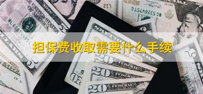 贷款担保公司一般怎么收费(担保公司贷款服务费收取标准)? (https://www.962900.com/) 知识问答 第2张