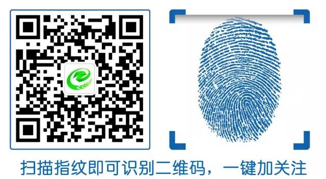 二手车抵押贷款车需要开过去吗(买二手车有抵押贷款能过户吗)? (https://www.962900.com/) 知识问答 第2张