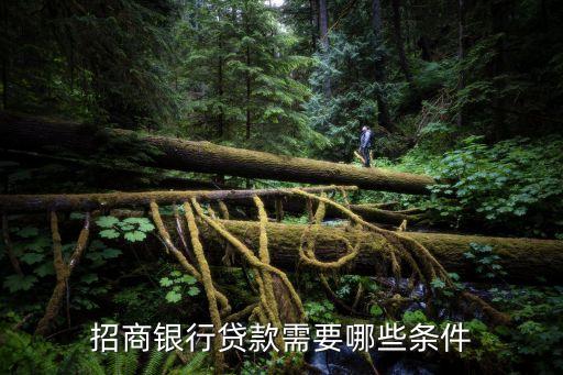 行驶证贷款(机动车行驶证贷款)? (https://www.962900.com/) 知识问答 第2张