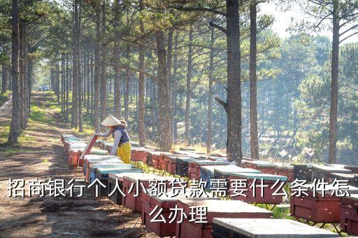 行驶证贷款(机动车行驶证贷款)? (https://www.962900.com/) 知识问答 第3张