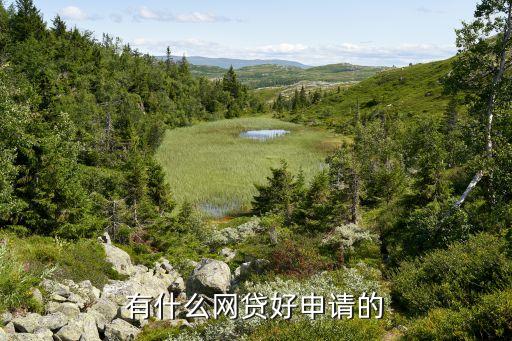 正规网络贷款平台哪个靠谱好申请(贷款正规的平台)? (https://www.962900.com/) 知识问答 第2张