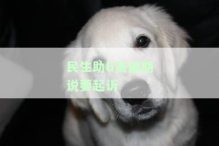 助贷公司贷款没批下来(助贷批贷款下来没公司怎么办)? (https://www.962900.com/) 知识问答 第1张