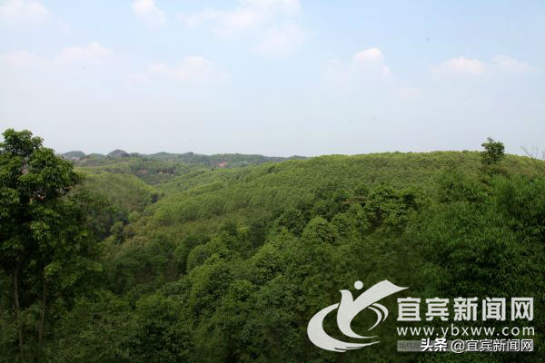 宜宾汽车抵押贷款(宜宾抵押车价格)? (https://www.962900.com/) 知识问答 第3张