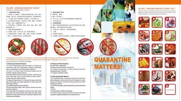 沪牌可以贷款吗(贷款沪牌可以买车吗)? (https://www.962900.com/) 知识问答 第17张