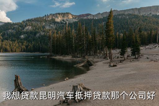 上海车子抵押贷款哪里可以做(上海的抵押车能买吗)? (https://www.962900.com/) 知识问答 第2张