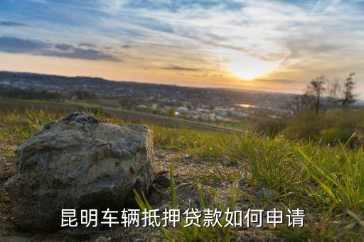 上海车子抵押贷款哪里可以做(上海的抵押车能买吗)? (https://www.962900.com/) 知识问答 第3张