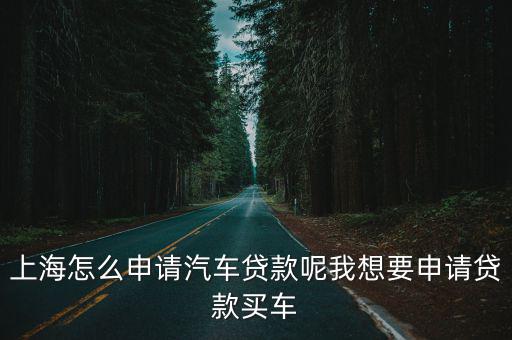 上海车牌贷款怎样申请(上海车牌贷款申请了能取消吗)? (https://www.962900.com/) 知识问答 第1张