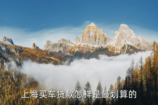 上海车牌贷款怎样申请(上海车牌贷款申请了能取消吗)? (https://www.962900.com/) 知识问答 第2张