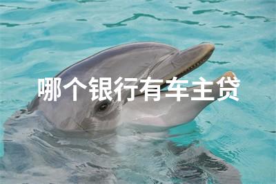 用车贷款哪个平台靠谱(用车贷款的平台)? (https://www.962900.com/) 知识问答 第1张