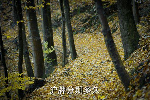 沪牌贷款(沪牌贷款合算吗)? (https://www.962900.com/) 知识问答 第2张