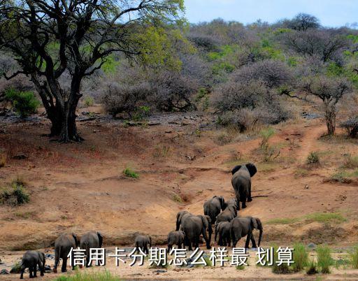 沪牌贷款(沪牌贷款合算吗)? (https://www.962900.com/) 知识问答 第3张