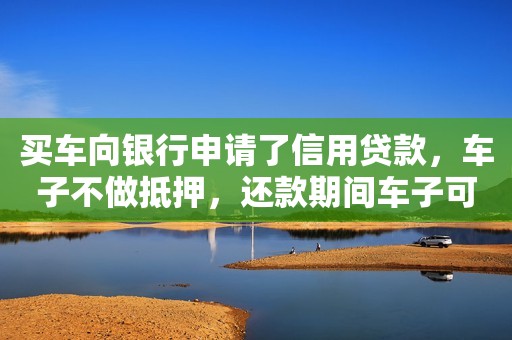 不抵押车子的贷款(抵押车子贷款怎么贷有多少利息)? (https://www.962900.com/) 知识问答 第1张