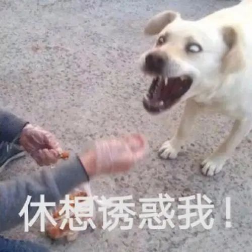 第三方车辆抵押贷款靠谱吗%3F(三方抵押车可以买吗)? (https://www.962900.com/) 知识问答 第2张