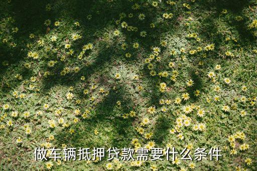 公司车抵押(抵押车公司户好还是个人户好)? (https://www.962900.com/) 知识问答 第1张