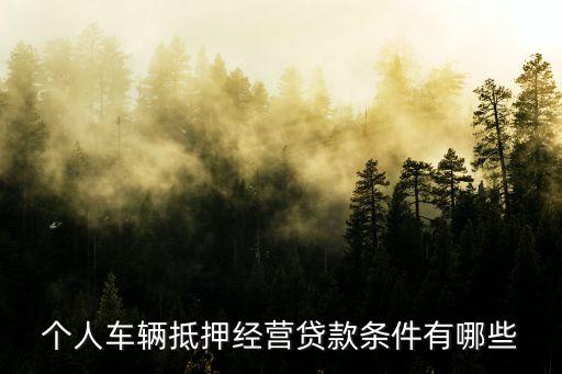 公司车抵押(抵押车公司户好还是个人户好)? (https://www.962900.com/) 知识问答 第2张