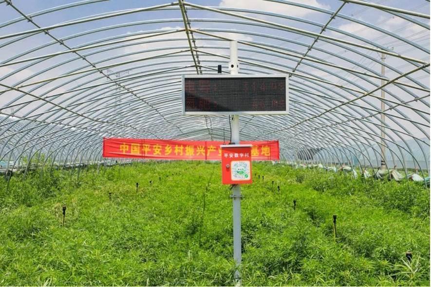 平安普惠(普惠平安保险)? (https://www.962900.com/) 知识问答 第21张