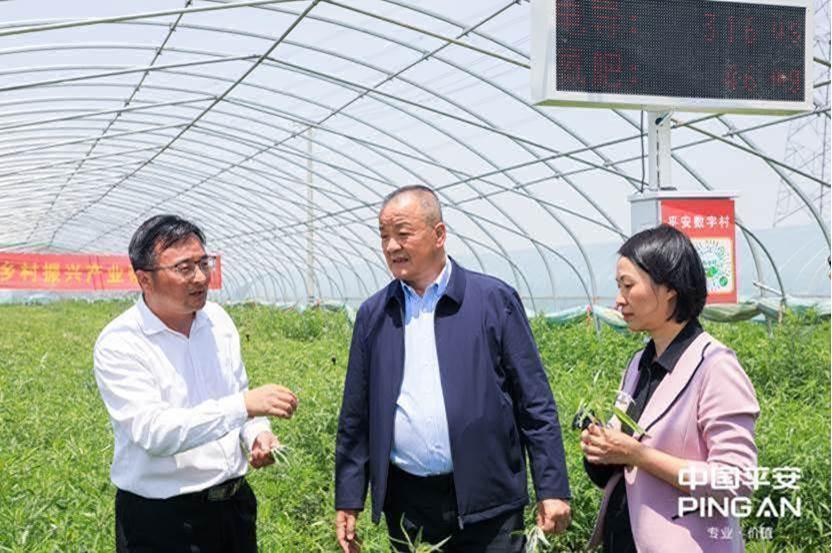 平安普惠(普惠平安保险)? (https://www.962900.com/) 知识问答 第22张