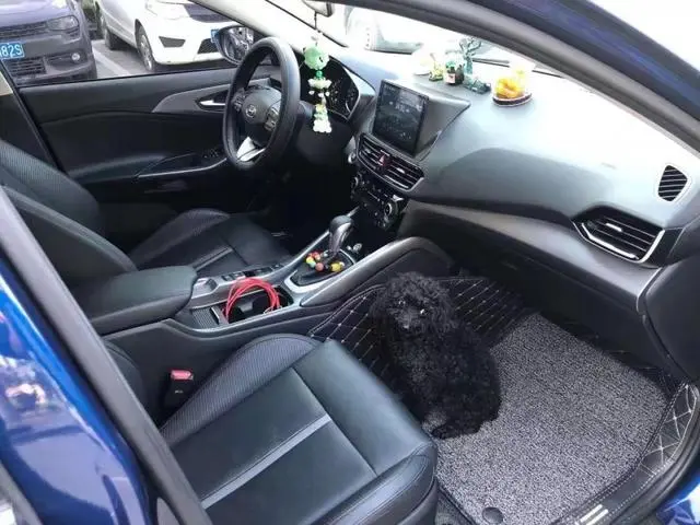 上海不押车抵押贷款(上海车抵押贷款不押车)? (https://www.962900.com/) 知识问答 第1张