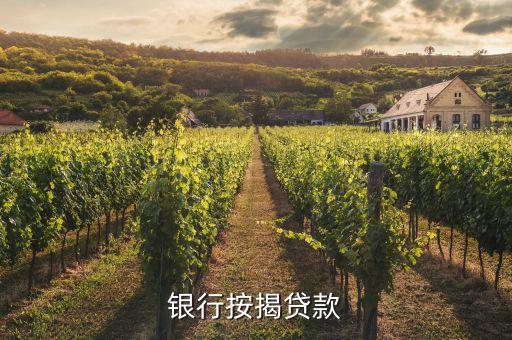 上海汽车借款(借款上海汽车怎么还款)? (https://www.962900.com/) 知识问答 第3张