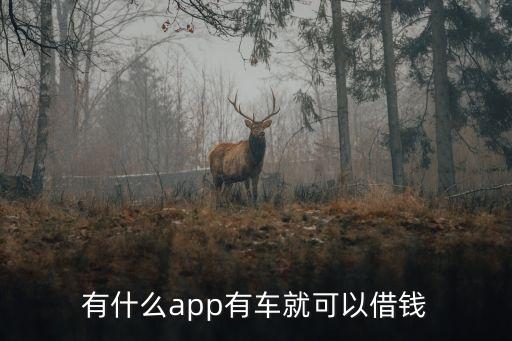 什么软件可以代还车贷(贷代车软件可以注销吗)? (https://www.962900.com/) 知识问答 第2张