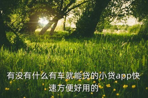 什么软件可以代还车贷(贷代车软件可以注销吗)? (https://www.962900.com/) 知识问答 第3张