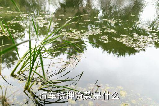 营运车辆可以抵押贷款吗(抵押营运贷款车辆可以过户吗)? (https://www.962900.com/) 知识问答 第2张