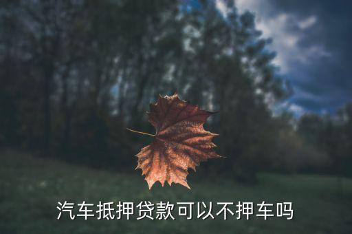 车辆抵押贷款哪个平台利息最低(专业汽车抵押贷款利息低)? (https://www.962900.com/) 知识问答 第2张