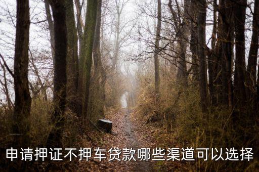 车子抵押贷款不押车(抵押车贷款风险大吗)? (https://www.962900.com/) 知识问答 第3张